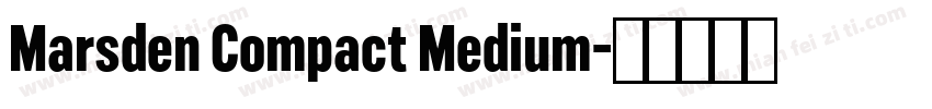 Marsden Compact Medium字体转换